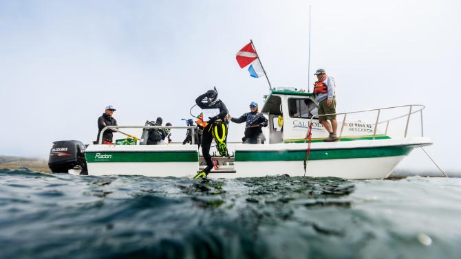 A scuba diver steps off the edge of a Cal Poly marine vessel into the ocean